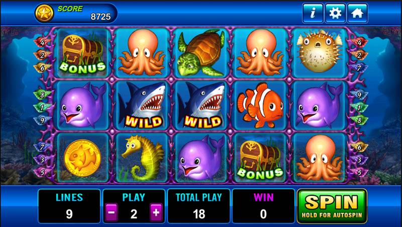 slot machines, betting, dolphins, gambling, jackpot