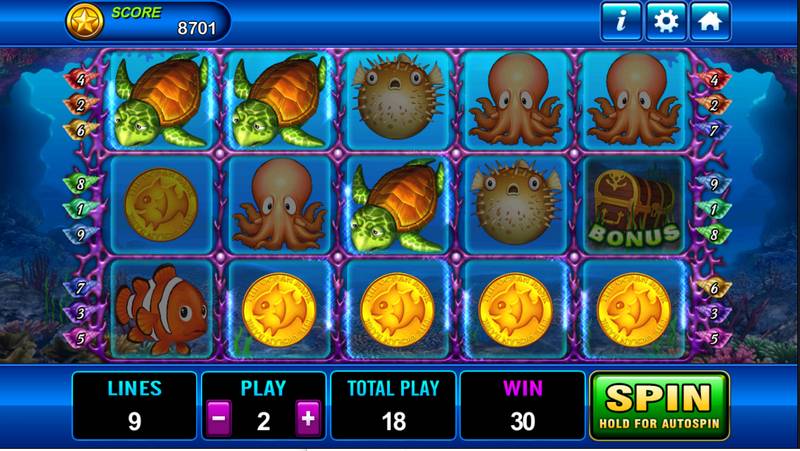 Dolphin slots jackpot celebration