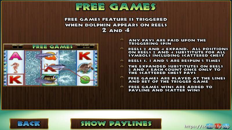 Underwater Theme in Dolphin Reef Slot