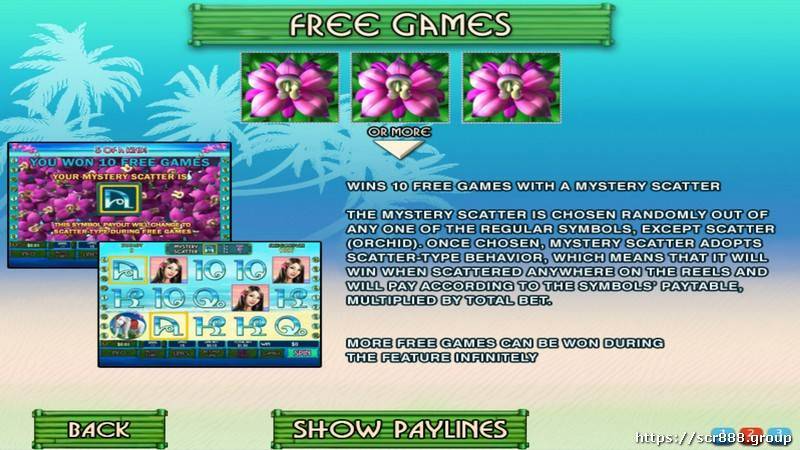 Win big with Thai Paradise's free spins feature